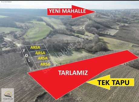 Saray Büyükyoncalı'da İmara Bitişik Tek Tarafı 4 Dönüm Tarla Olu Var