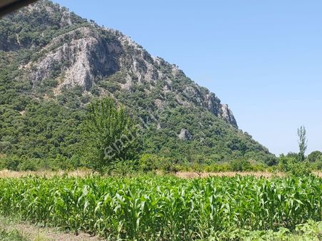 Dalyan Okçular Marmarlıda 1 900 M2, İmar Planı İçindeki Arazi Satılık