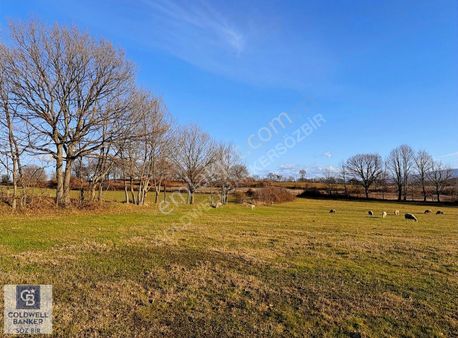 Bursa Mustafakemalpaşa Dallıca Da 13.324 M2 Satılık Tarla