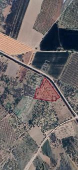 Beyaz Gayrimenkulden Satılık Karaoğlanlı 8.300 M2 Zeytinlik