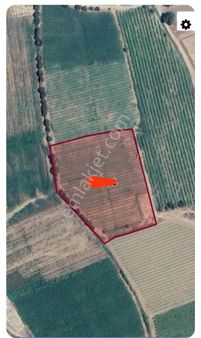 Manisa/turgutlu Nurcan Emlak’tan Derbent Mh. 7.690 M² Satılık Tarla