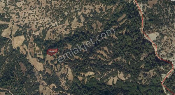 Denizli Dağmarmara'da Yatırımlık Tarla Fırsatı