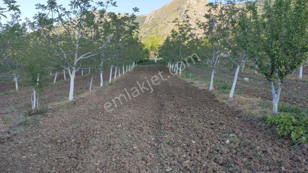 Manisa Soma Darkale Satılık Tarla