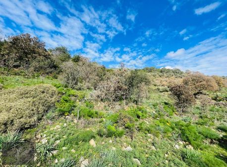 Kelepir Arsa Yalıkavak Dağbelen'de Satılık Arsa