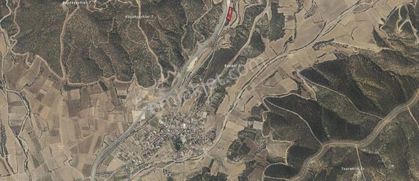 Ayşah'tan Honaz Yokuşbaşında 80 Tane Zeytin Ağaçlı Tarla Satılık