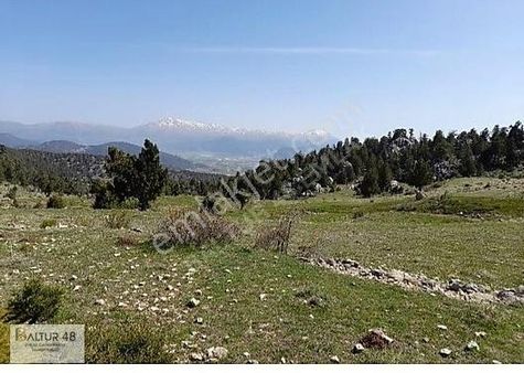 Seydikemer Yayla Eldirek'te Yatırımlık Arazi Fırsatı