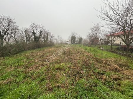 Kocaeli Karamürsel Akçat 661 M2 %30 Konut İmarlı Satılık Arsa