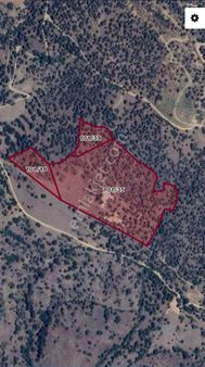 Çine Ünlücede Satılık Zeytinlik