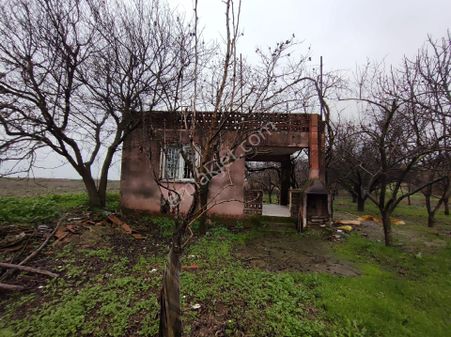 Satılık Manisa Yeni Harmandalı Bağ Ve Meyve Bahçesi 8112 M2