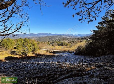 Mengen Kuzgölde Satılık Köyiçi Tarla