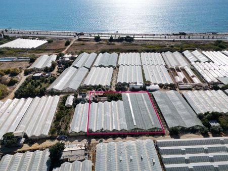 Payallar Da Satılık Tta Ve Konut İmarlı Arsa