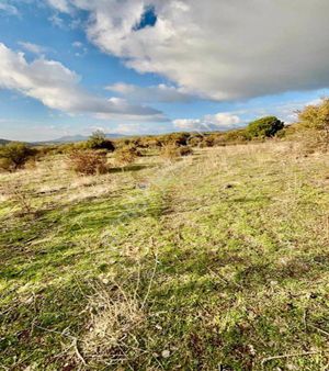 İzmir Dikili Nebiler'de Satılık Tarla