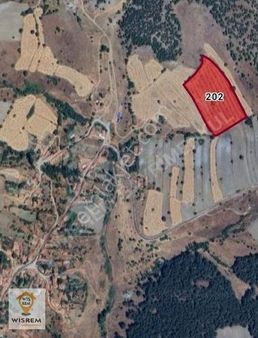 Ceviz Bahçesi Köye Yakın 16 Dönüm