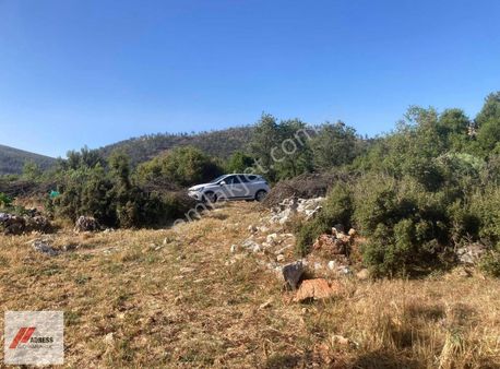 Milas Demirciler Mah. Satılık 2918 M2 Tarla