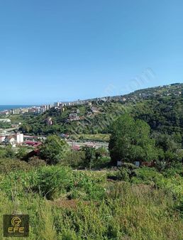 Efe Gayrimenkulden Satılık İmarlı Arsa