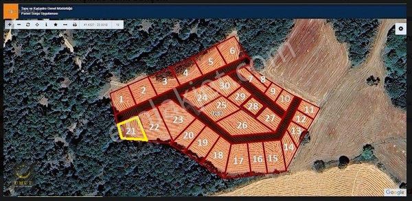 Saray Küçükyoncalı'da Çaplı Muvafakatlı Orman İçinde Saklı Bahçe