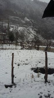 Ordu İkizce Arsa Tapu Sahibi Perta Emlak Ümit Tahmaz