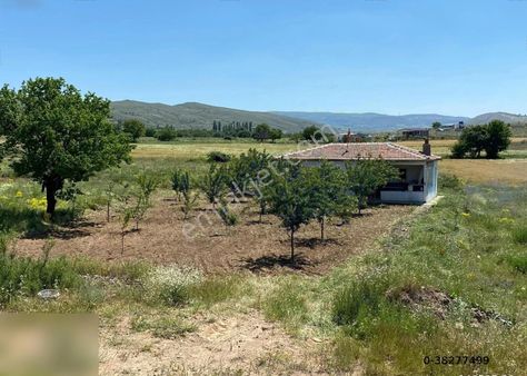 1 Hafta Geçerli Tek Fiyat 700 M2 Arsa 70 M2 Ev Tek Tapu Yol Kenarı Sıfır Bağ Evi