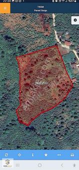 Fatsa Bolamanda Villa Proj. Uygun 13.875 M2 Satılık Fındık Bahçe