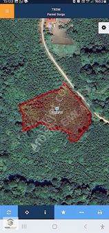 Yassıtaş Mh Kaynarlı Mevk Satılık 5.857 M2 Satılık Fındık Bahçes