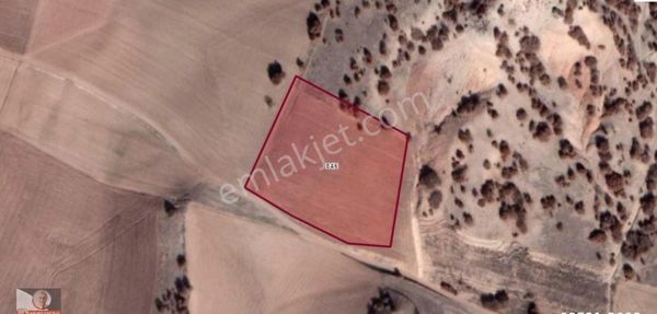 Tepebaşı Musaözü Mahallesinde Satılık Tarla