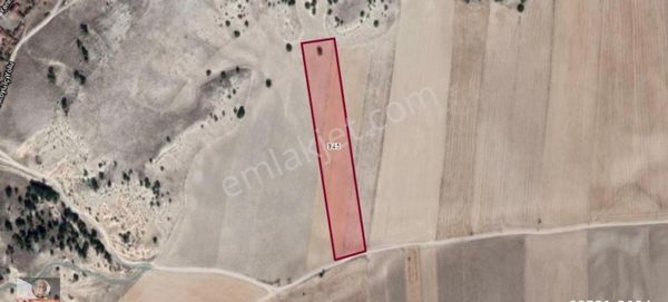 Odunpazarı Yenisofça Mahallesinde Satılık Tarla