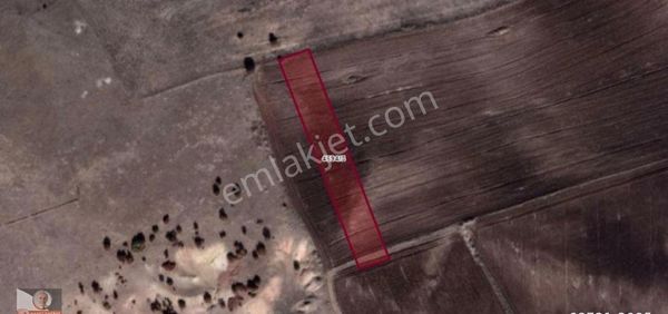 Türkmentokat Mahallesinde Satılık Tarla