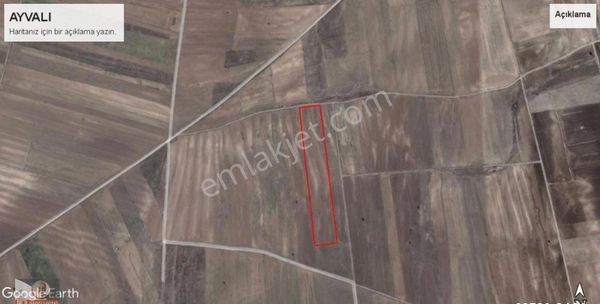 Seyitgazi Ayvalı Mahallesinde Satılık Tarla