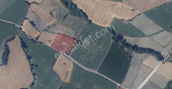 Balıkesir Susurluk Göbelde Satılık Tarla