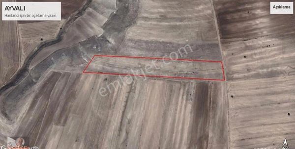 Seyitgazi Ayvalı Mahallesinde Satılık Tarla