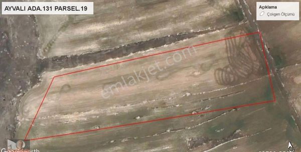 Seyitgazi Ayvalı Mahallesinde Satılık Tarla