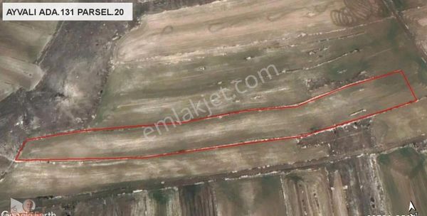 Seyitgazi Ayvalı Mahallesinde Satılık Tarla