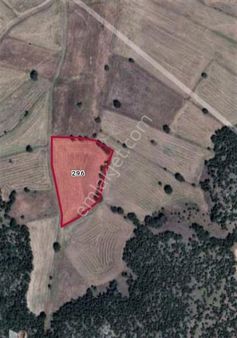 Ayvacık Mahallesinde Satılık Tarla