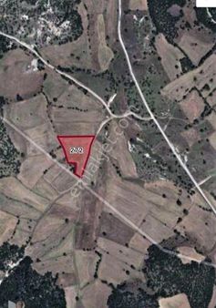 Ayvacık Mahallesinde Satılık Tarla