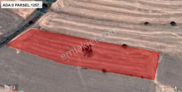 İnönü Tutluca Mahallesinde Kütahya Yolu Yakın Satılık Tarla