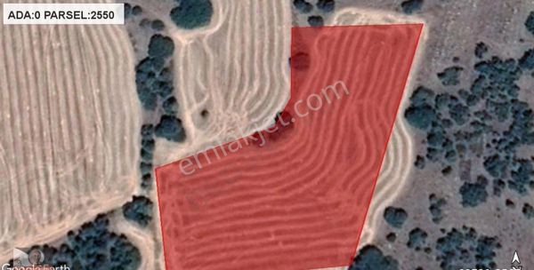 İnönü Tutluca Mahallesinde Nemli Köyü Yakını Satılık Tarla