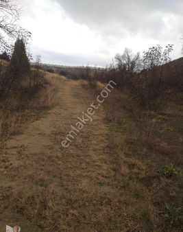 Bilecik İnhisar Zafer Mahallesinde Satılık Tarla