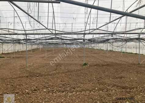 Sarıcakaya Bilal Habeşi Mahallesinde Sakarya Nehri Dibi Satılık Tarla