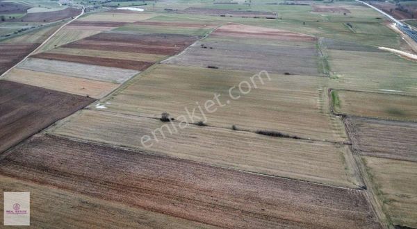 Real Estate Çatalcadan Kırklarelin'de Yatırımlık Tarla