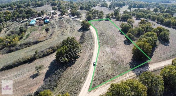 Real Estate Çatalca'dan Resmi Yolu Mevcut Satılık Tarla