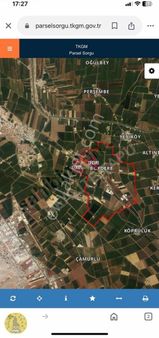 Realite Tapu 63 Celal İkbalden Satılık Emsalsiz Yola Sıfır Tarla