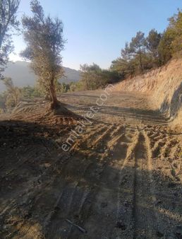 Güzelbahçe Yelki Satılık Tarla