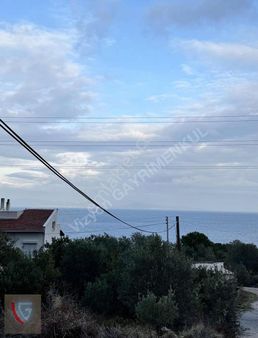 Deniz Manzaralı Anayol Üzeri Zeytin Ağaçlı Tarla