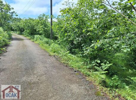 Satılık Arazi Çilekli Mah Yola Cepheli Doğa Ve Deniz Manzaralı