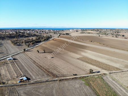 Ezine Yeniköy'de 6519m2 Asfalt Cephe Tarla