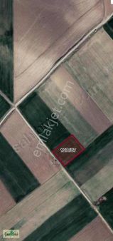 Çınar Emlak'tan Sarı Köy'de Satılık Tarla