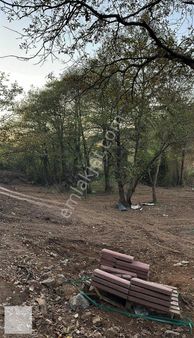 Gebze Ovacık Köyü Satılık Ahşap Ev