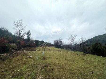 Antalya Akseki Cendeve'de Satılık Tek Tapu Tarla