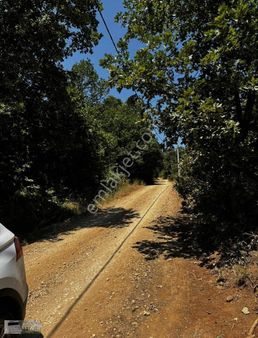 Kestel Ümitalan Mahallesinde Elektrik Suyu Olan Arazi