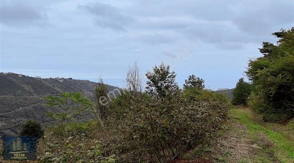 Volkan Yatırım'dan Tütüncüler 2000 M2 Deniz Manz Arazi